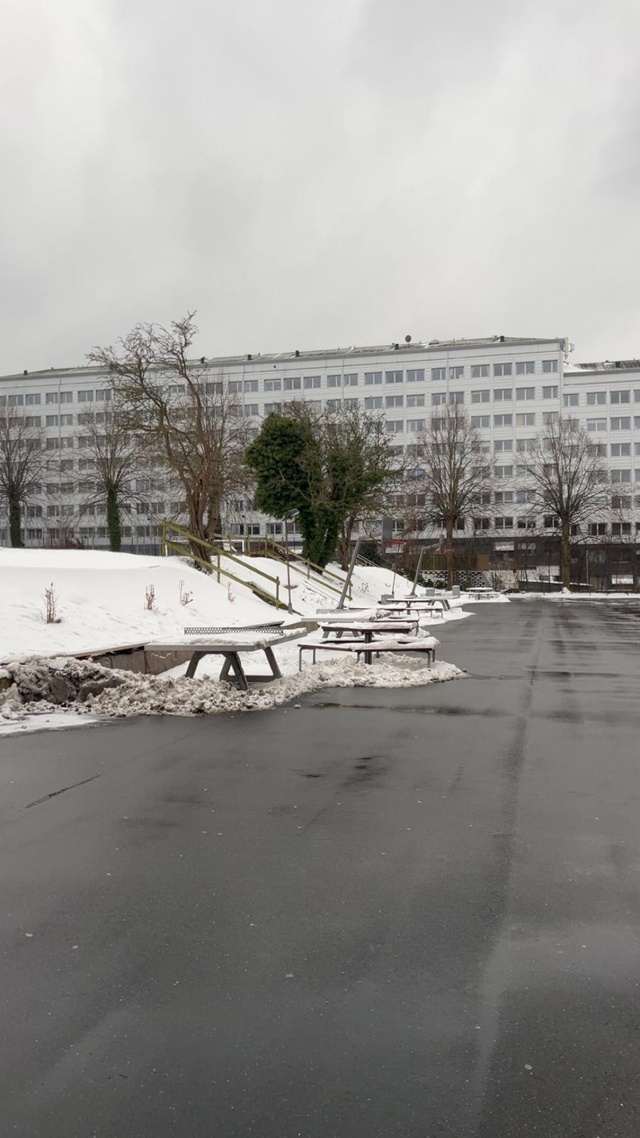 Efterslægten billede 3